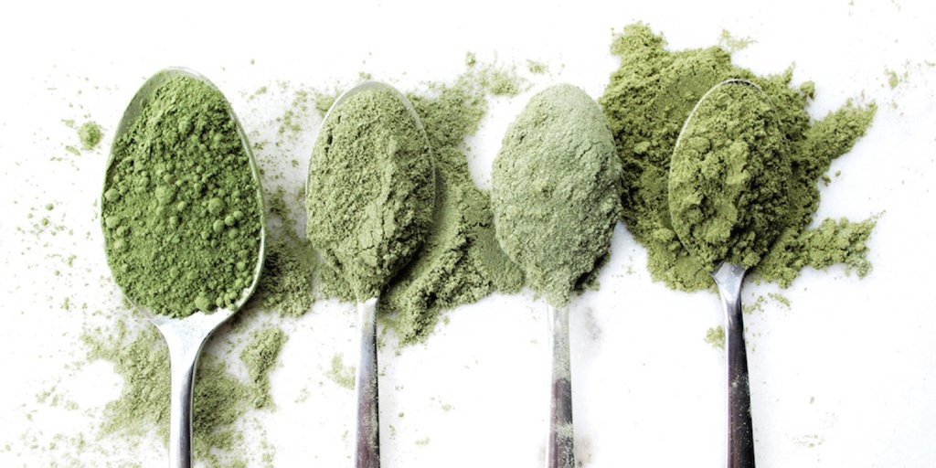 Everything You Need to Know About Superfood Green Powders