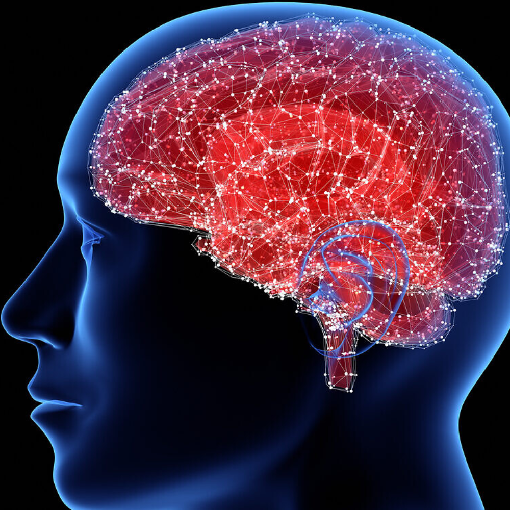 Мысли головного мозга. Нейроны головного мозга. Мозг человека Нейроны. Нейроны в голове человека. Нейронный мозг.